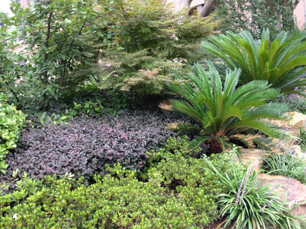 腾博汇游戏官网的愿景与理想